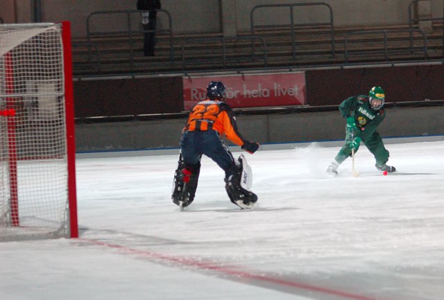bandy7.jpg